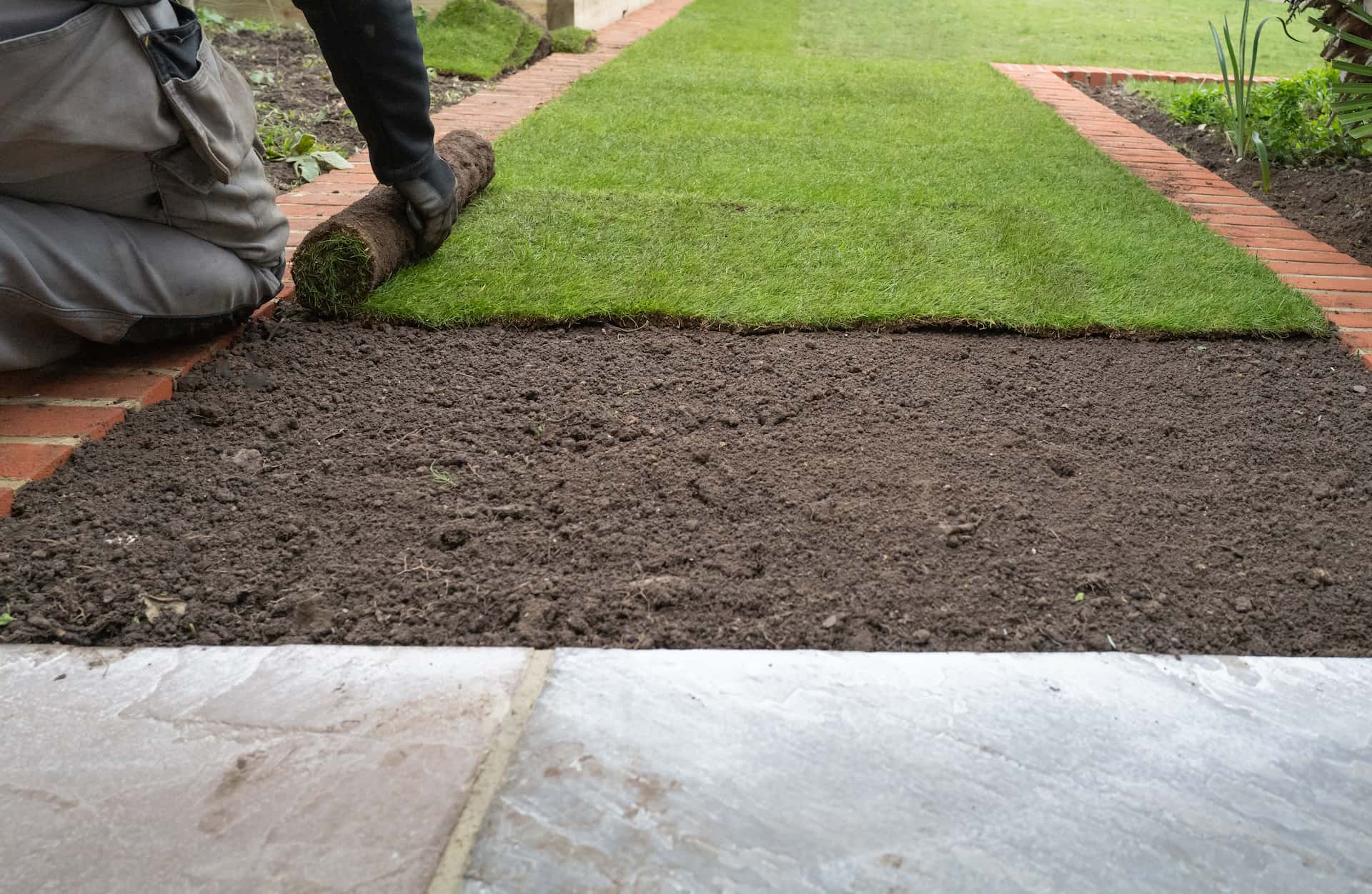 Artificial grass cleaner Colnbrook