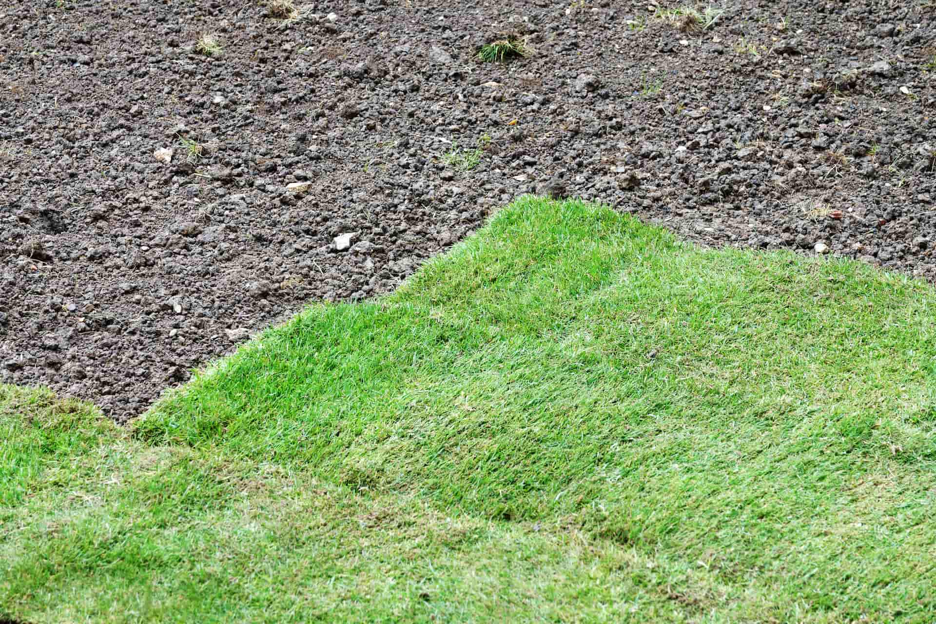 Artificial grass installation Colnbrook
