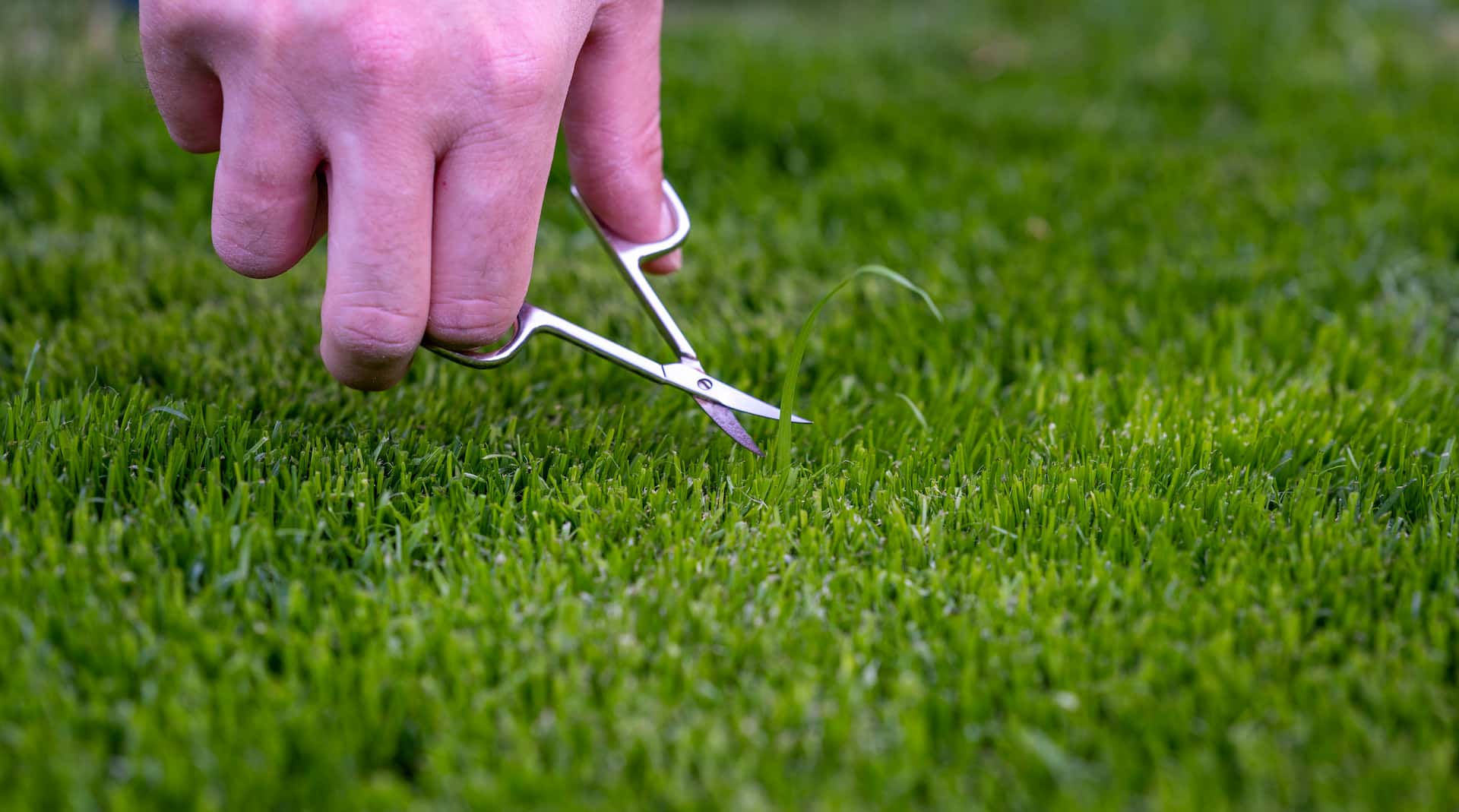 Artificial grass near me Colnbrook